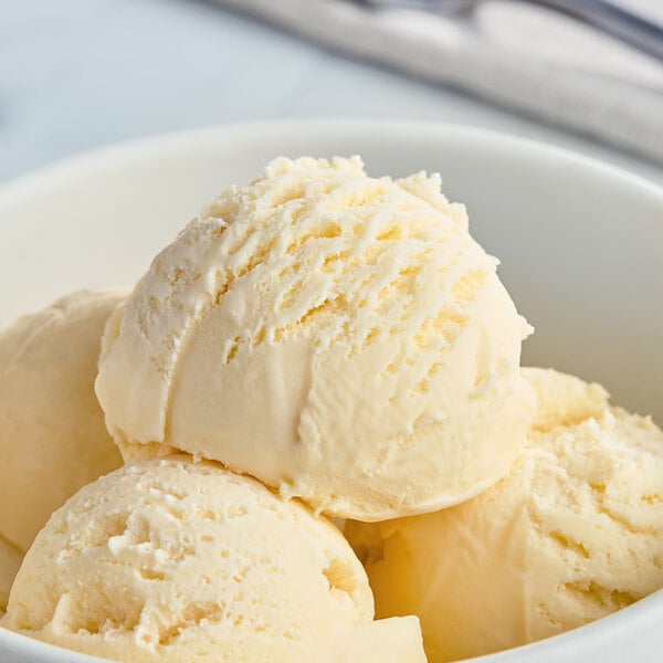 A bowl of Tillamook French Vanilla ice cream with two scoops.