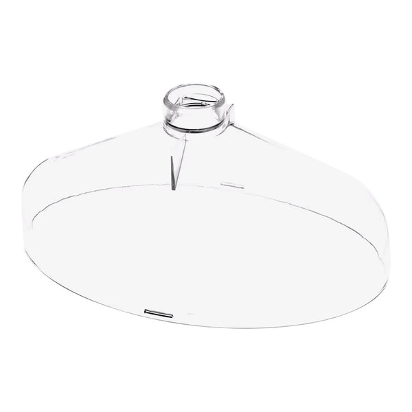 A clear plastic cone with a metal needle inside a metal ring.