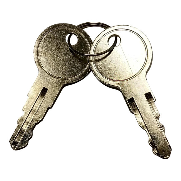 Two Pro1 T150K keys on a ring.