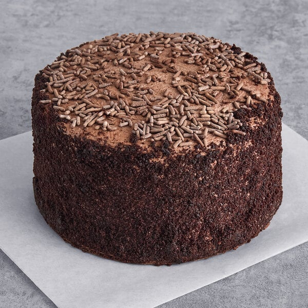 Abe's Vegan chocolate cake with sprinkles on top.