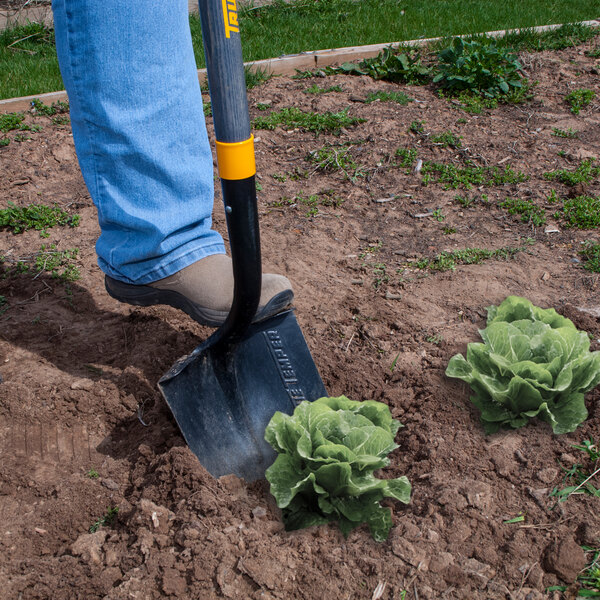 A person using a True Temper round point shovel to dig in the ground.