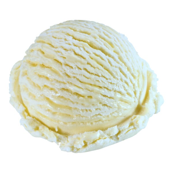 A scoop of Klein's Real Kosher Vegan Vanilla Ice Cream.