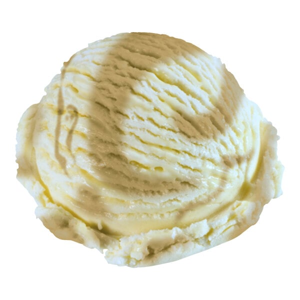 A scoop of Klein's Real Kosher Vegan Caramel Fudge Ice Cream.