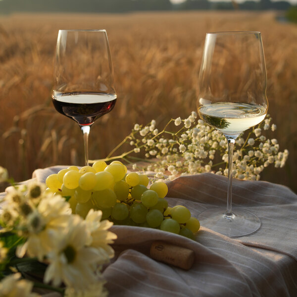 Two Stolzle Cocoon burgundy wine glasses filled with wine on a table with grapes.