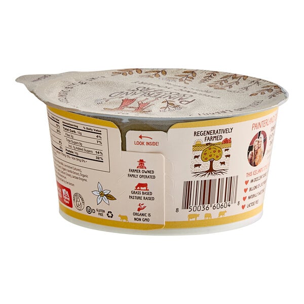 A Painterland Sisters Vanilla Bean Organic Skyr Yogurt container.