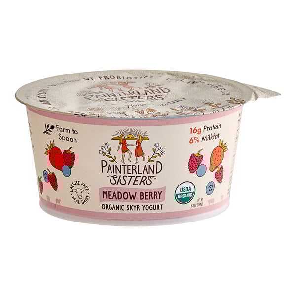 A Painterland Sisters Meadow Berry Organic Skyr Yogurt container on a white background.