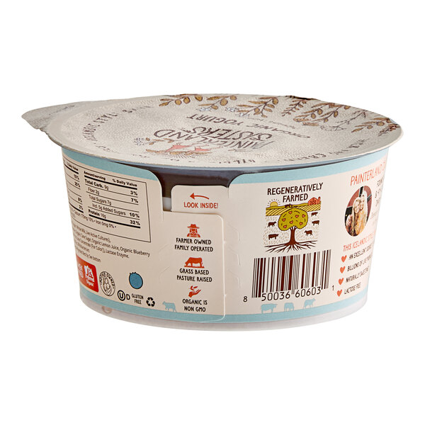 A Painterland Sisters Blueberry Lemon Skyr yogurt container with a label.