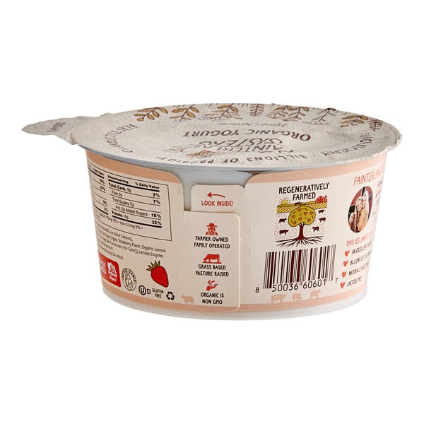 A Painterland Sisters Strawberry Fields Organic Skyr Yogurt container on a white background.