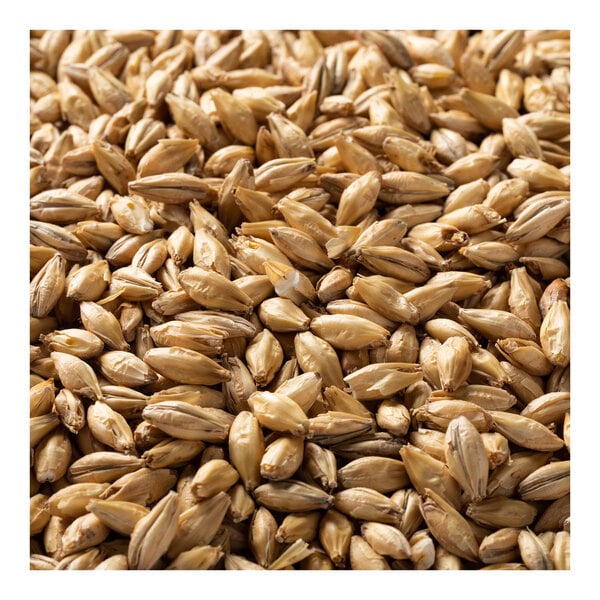 A pile of Briess Pilsen malt grains.