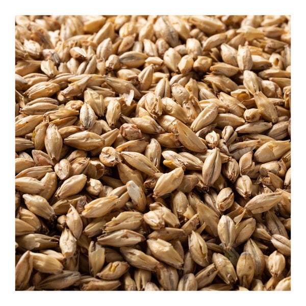A close up of a pile of Briess Pale Ale malt.