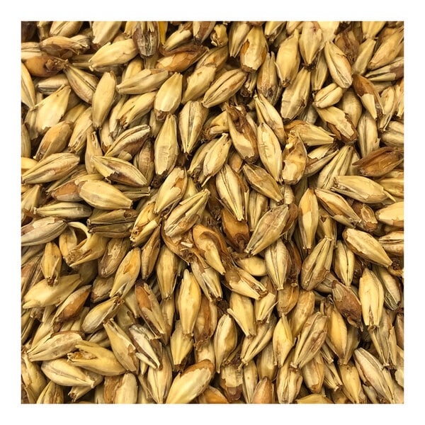 A pile of Briess American Honey Malt grains.
