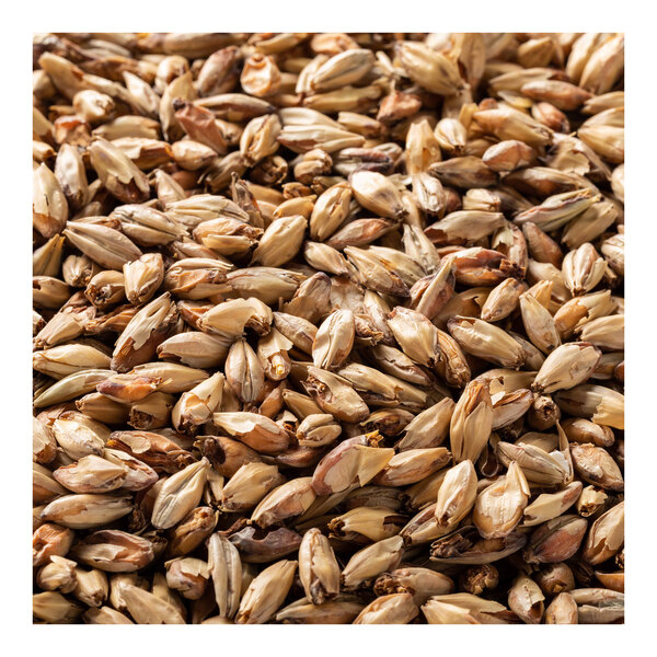 A close up of a pile of Briess Aromatic Munich malt.