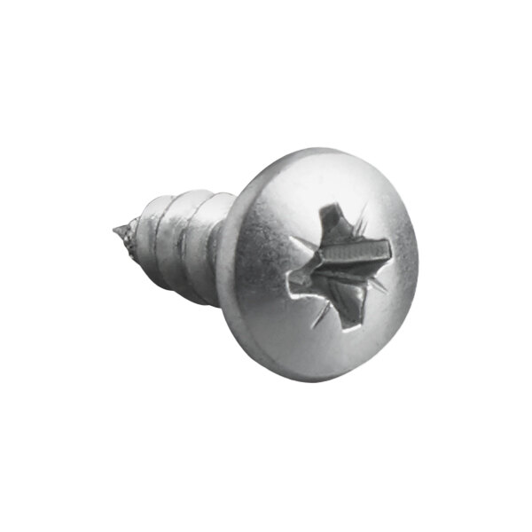 A close-up of a metal screw with a grey head.