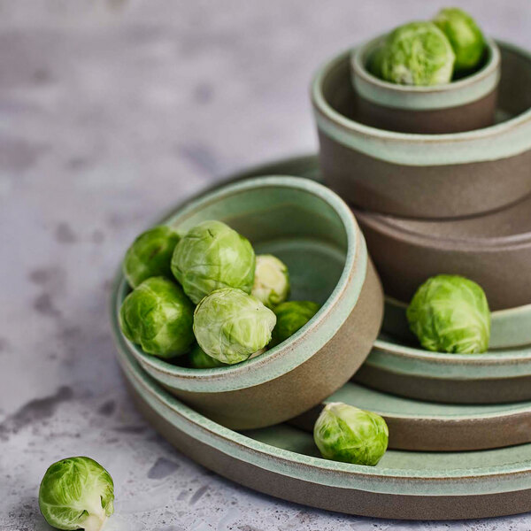 Cosy & Trendy Basalt 10 13/16" Mint Green Stoneware Plate - 6/Case