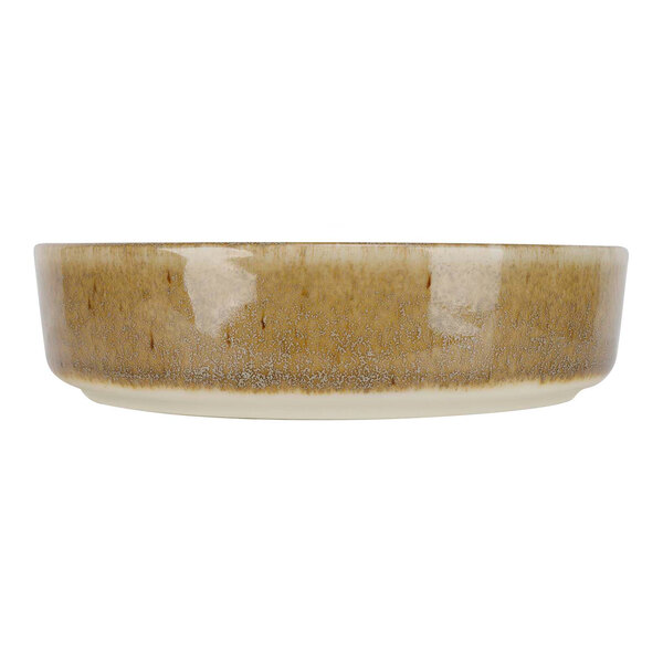 A close up of a green Cosy & Trendy porcelain bowl with a brown rim.