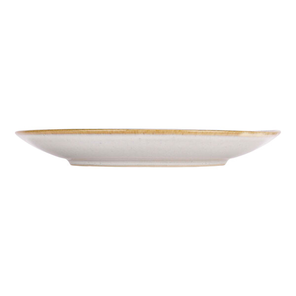 A beige porcelain coupe plate with blue and brown stripes on the rim.