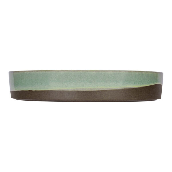 A round plate with a mint green upper section and a dark brown lower section, viewed from the side.
