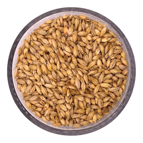 Two Track Malting Badlands Pilsner Malt 50 lb.