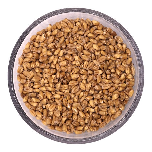 Two Track Malting Astro White Wheat Malt 50 lb.