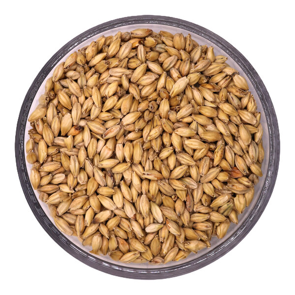 Two Track Malting Medora Mild Malt 50 lb.