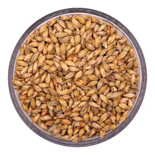 Two Track Malting Denhoff Munich Malt 50 lb.