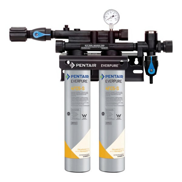 An Everpure water filtration system with two white cylinders and gauges.