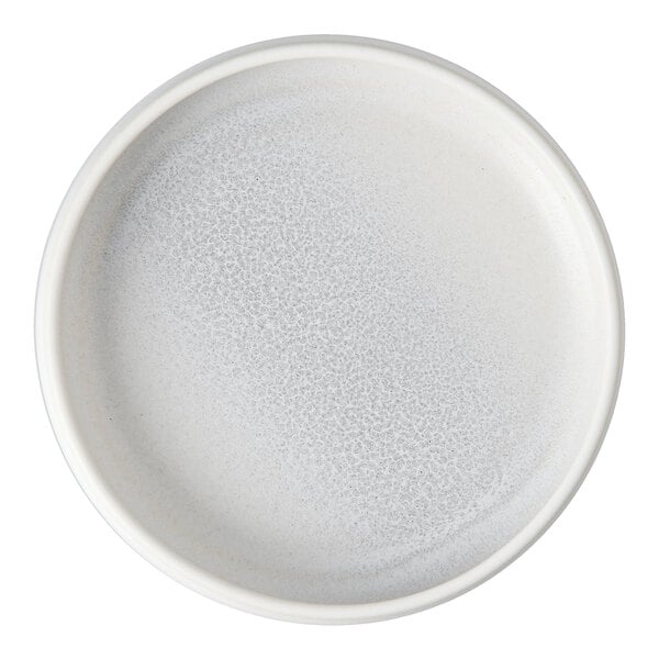 A white Cloud Terre by Fortessa stoneware plate with speckled texture.