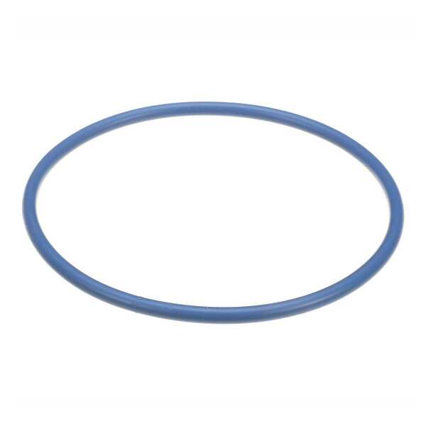 A blue circular gasket for a fryer.
