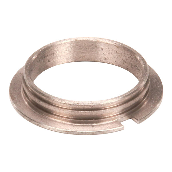 A close-up of a Lang roller bushing, a metal ring with a hole in it.