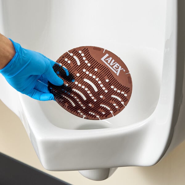 A brown Lavex EVA deodorizing gel urinal screen being placed in a white urinal by a person wearing a blue glove.