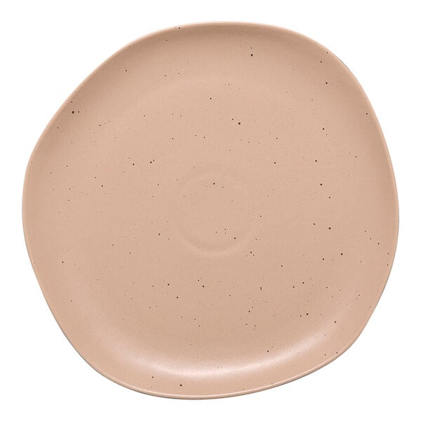 An Ariane Earth porcelain plate with dark sand dots on it.