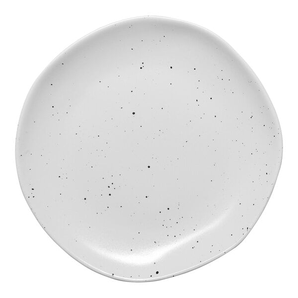 A white Ariane Earth porcelain plate with black specks.