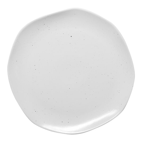 A white Ariane porcelain plate with specks on it.