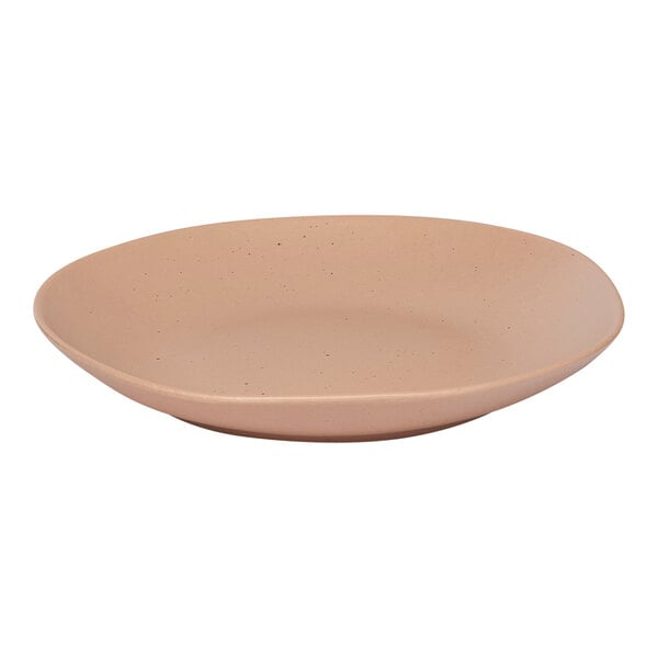 An Ariane Earth porcelain plate with dark sand dots on the rim.