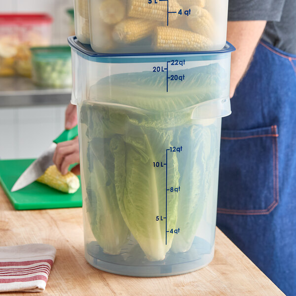 A large translucent round polypropylene food storage container with blue measurement markings, filled with romaine lettuce.