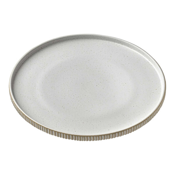A white ceramic plate with a high rim and subtle speckled pattern.