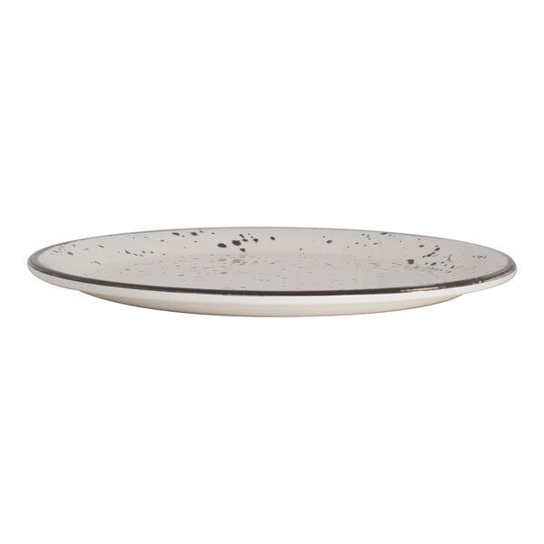 An 8-inch round coupe plate with a speckled snow design, made of melamine.