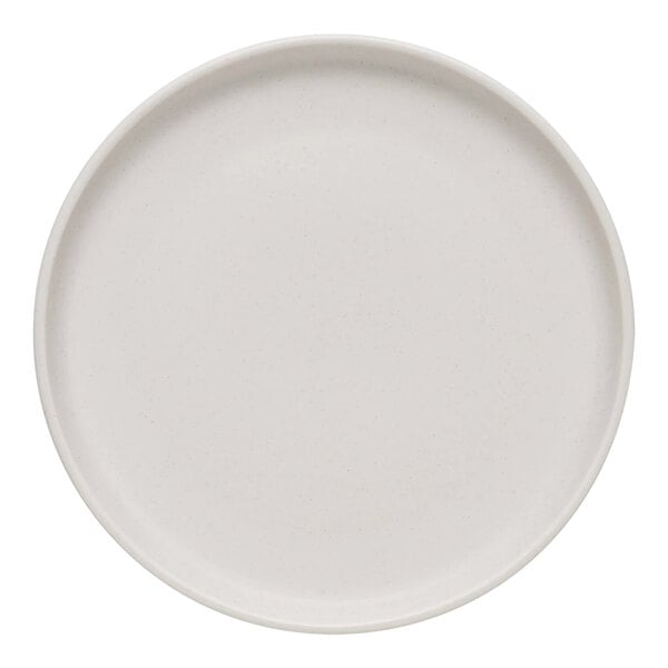 A plain, round, white satin matte porcelain flat coupe plate.