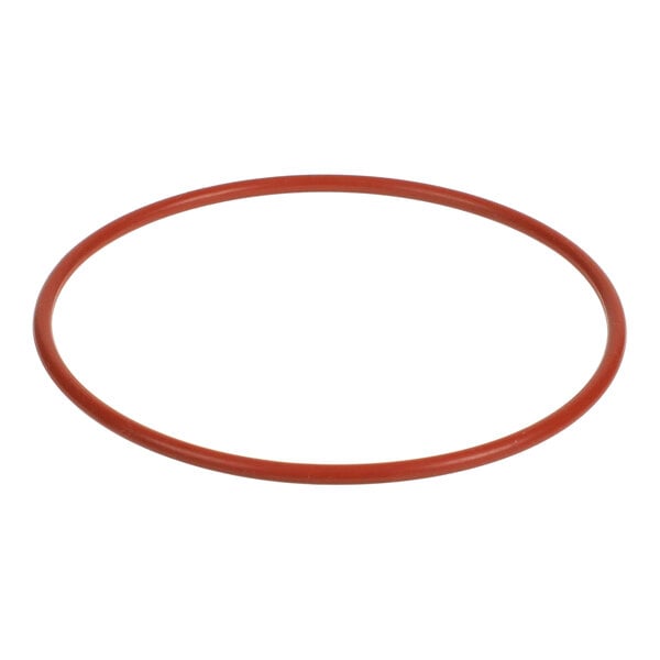 An orange rubber O-ring gasket.