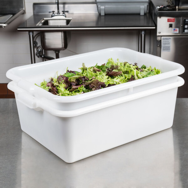 A white Tablecraft plastic container with green lettuce inside on a counter.