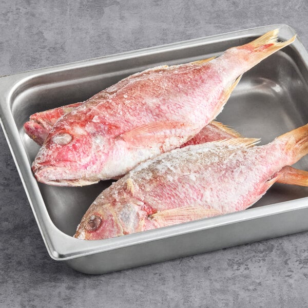 A stainless steel tray containing two whole frozen Caribbean red snappers.