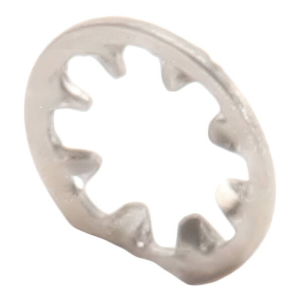 A stainless steel #10 internal tooth washer.