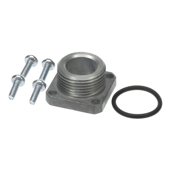 A metal valve connector kit with two bolts and a rubber O-ring.