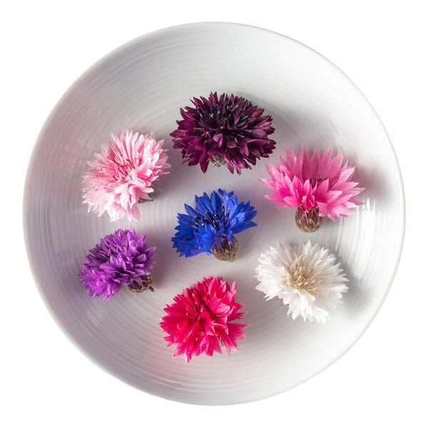 A white plate with seven colorful Fresh Origins Bachelor's Button edible flowers arranged on it.