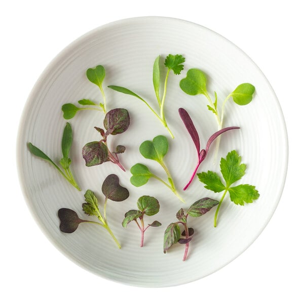 A white plate with a variety of Fresh Origins Micro Asian Mix microgreens arranged on it.