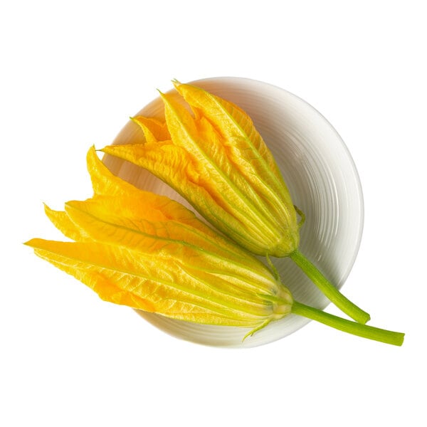 A plate with two fresh yellow squash blossom edible flowers.