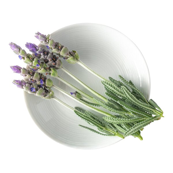 A plate with several sprigs of fresh lavender edible flowers.