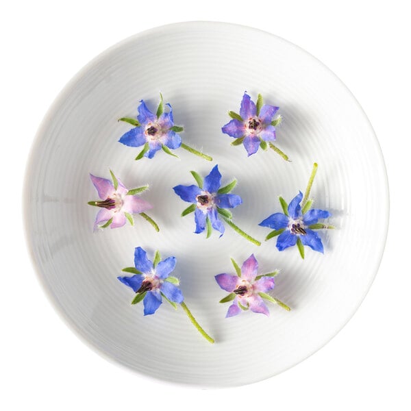 A white plate with six blue and purple borage blossom edible flowers arranged on it.