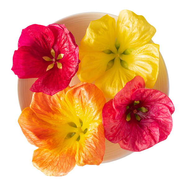 A plate with four colorful Fresh Origins hibiscus edible flowers in red, yellow, and orange hues.