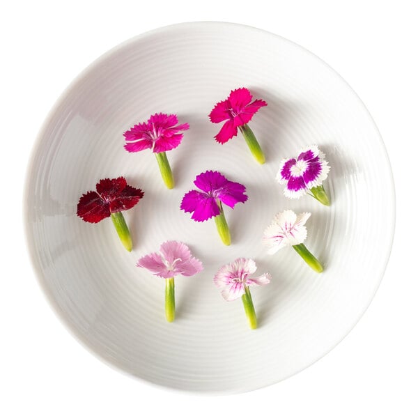 A white plate with seven colorful Fresh Origins Micro Dianthus edible flowers arranged on it.